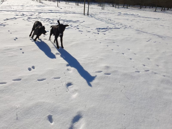 bc441663-4329-4536-8c0b-1a0de6ba6dec