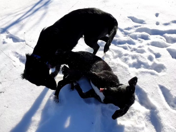 de95c314-837b-4d1e-ad78-4f5b5abcac0e